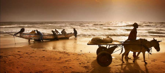 موريتانيا.02