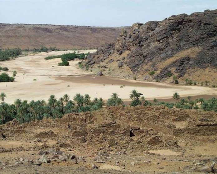 واحة الرشيد الموريتانية