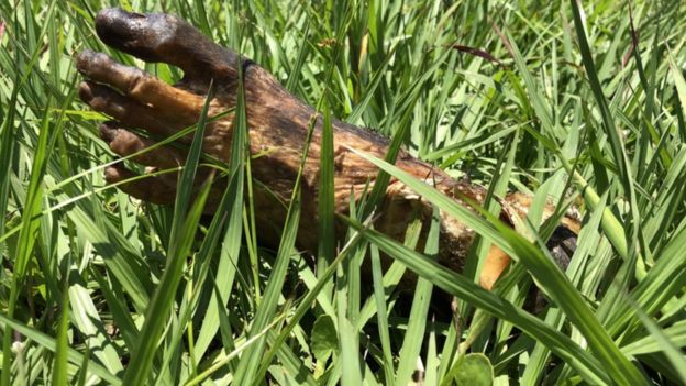 الرطوبة تحول بعض الجثث إلى مومياوات