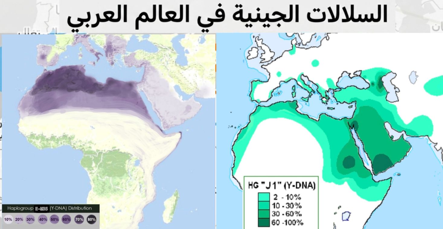 السلالات الجينية الكبرى وتوزعها الجغرافي