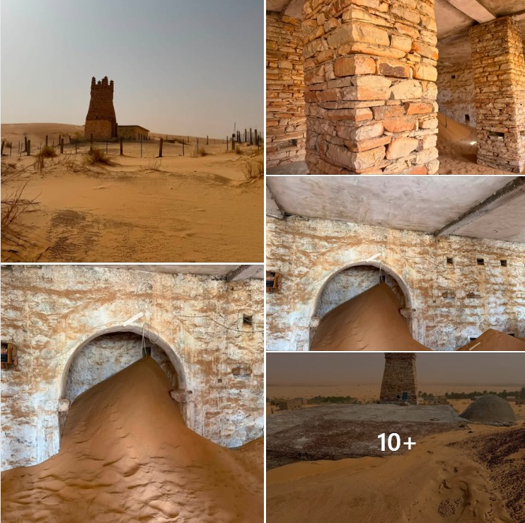 شنقيط الكنز الثقافي المهمل (الحلقة الأولى: بين ربوع آبير)